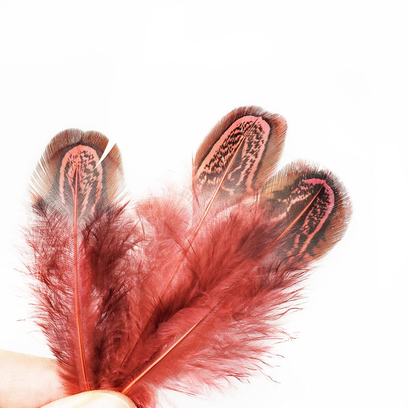 HAPPY FEATHER 100 pcs Natural Pheasant Plumage Feathers 2-3 Inches Plumage Feathers for Sewing Crafts Clothing Decorating Accessories -Red - Image 4